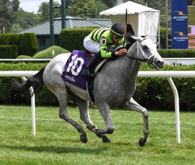 Out On Bail, horse, Tiz The Law, Skidmore Stakes, viernes, 16 de agosto de 2024, Saratoga. Foto: Coglaniese Photo