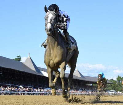 Sterling Silver, horse, Cupid, Johnstone Mile Hándicap, miércoles, 7 de agosto de 2024, Saratoga. Foto: Coglaniese Photo