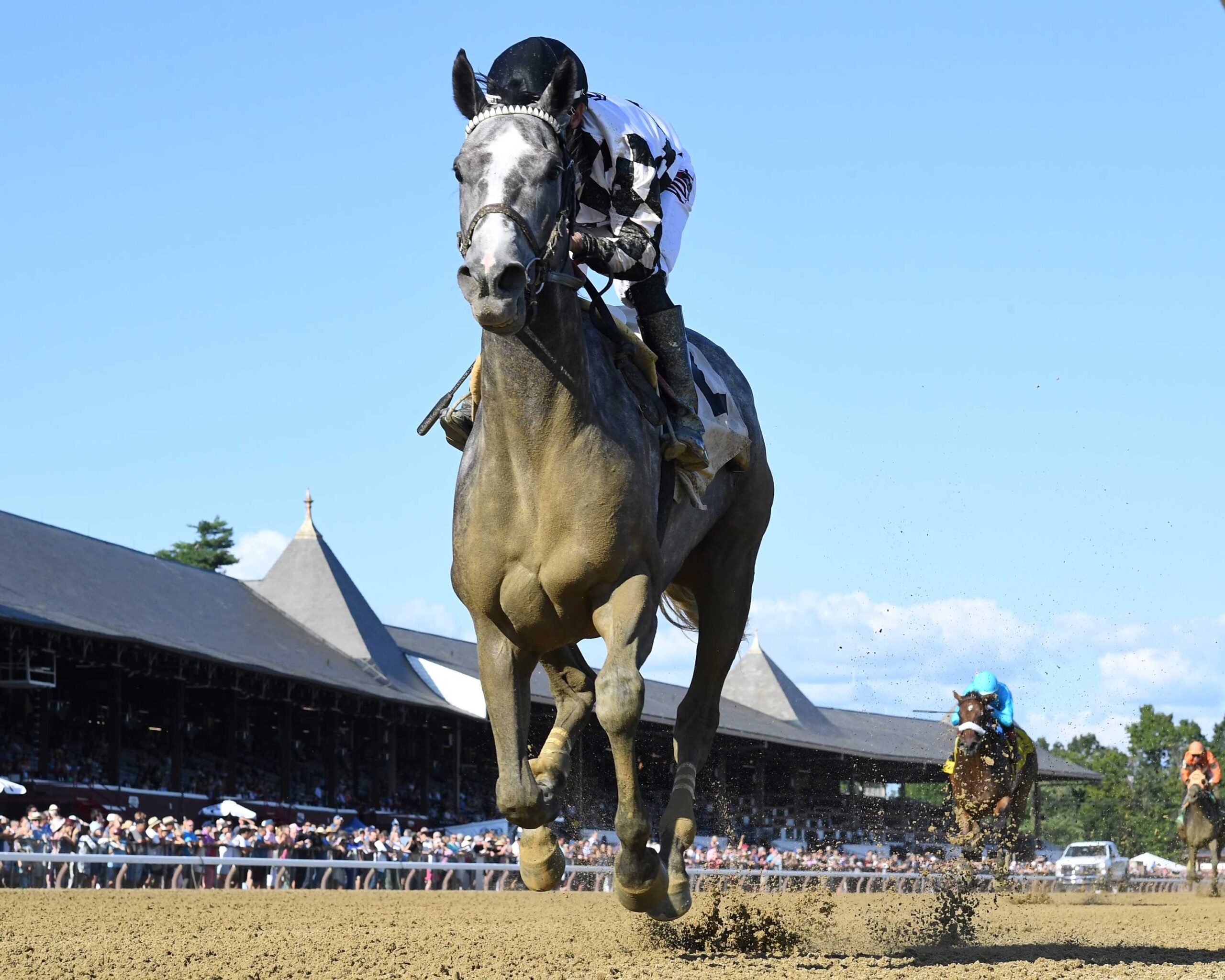 Sterling Silver, horse, Cupid, Johnstone Mile Hándicap, miércoles, 7 de agosto de 2024, Saratoga. Foto: Coglaniese Photo