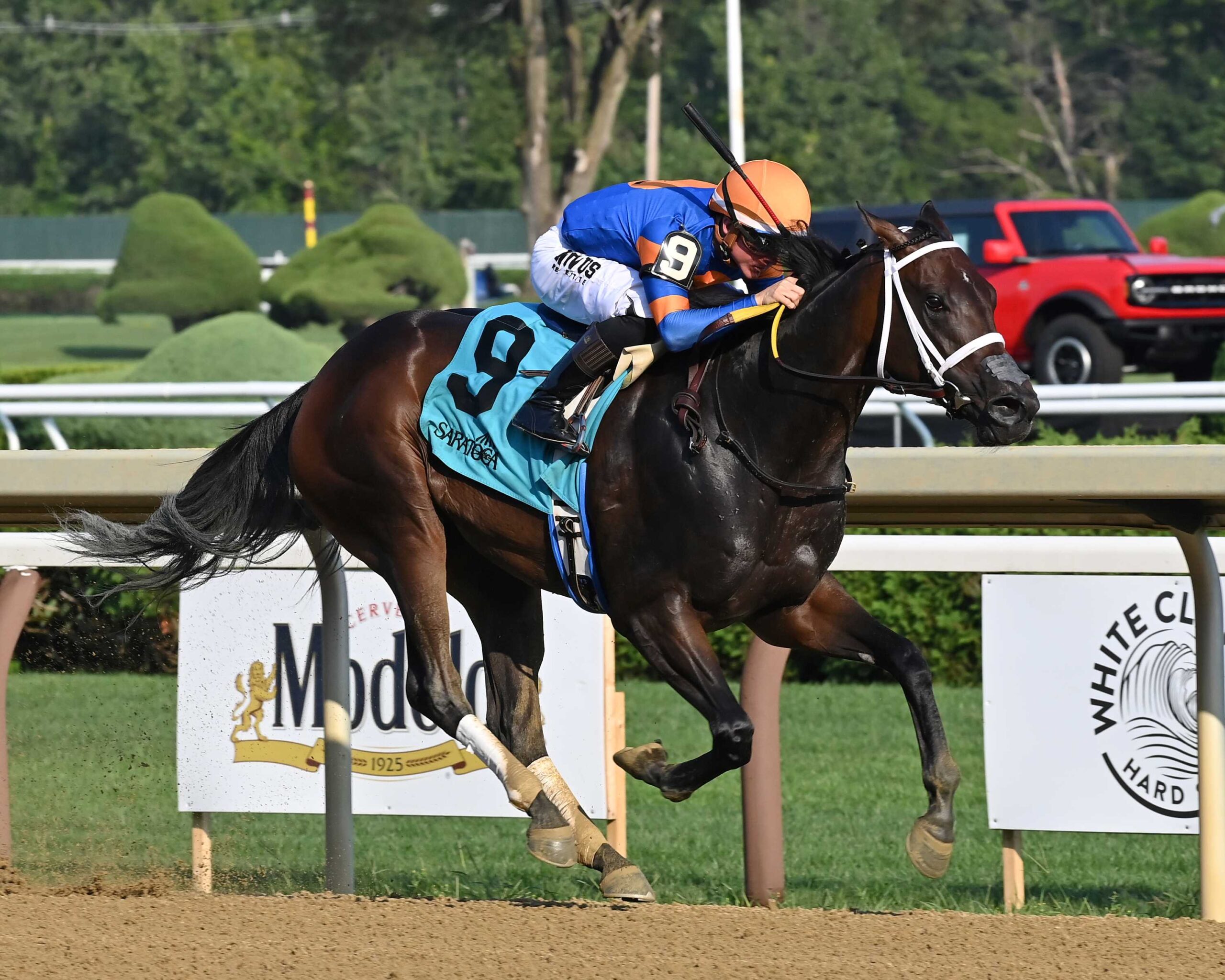 The Queens M G, horse, Thousand Words, Adirondack Stakes, domingo, 4 de julio de 2024, Saratoga. Foto: Coglaniese Photo