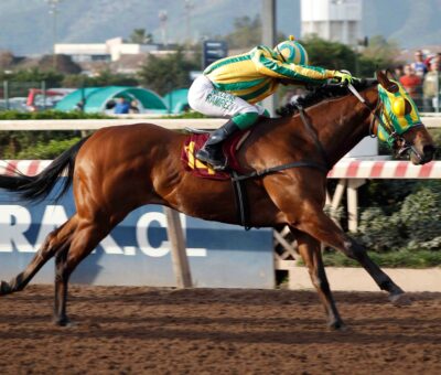Beach Colt, horse, Haras Convento Viejo, Clásico Juan Diuana Zamar, sábado, 21 de septiembre de 2024, Hipódromo Chile. Foto: Jaime Cortés