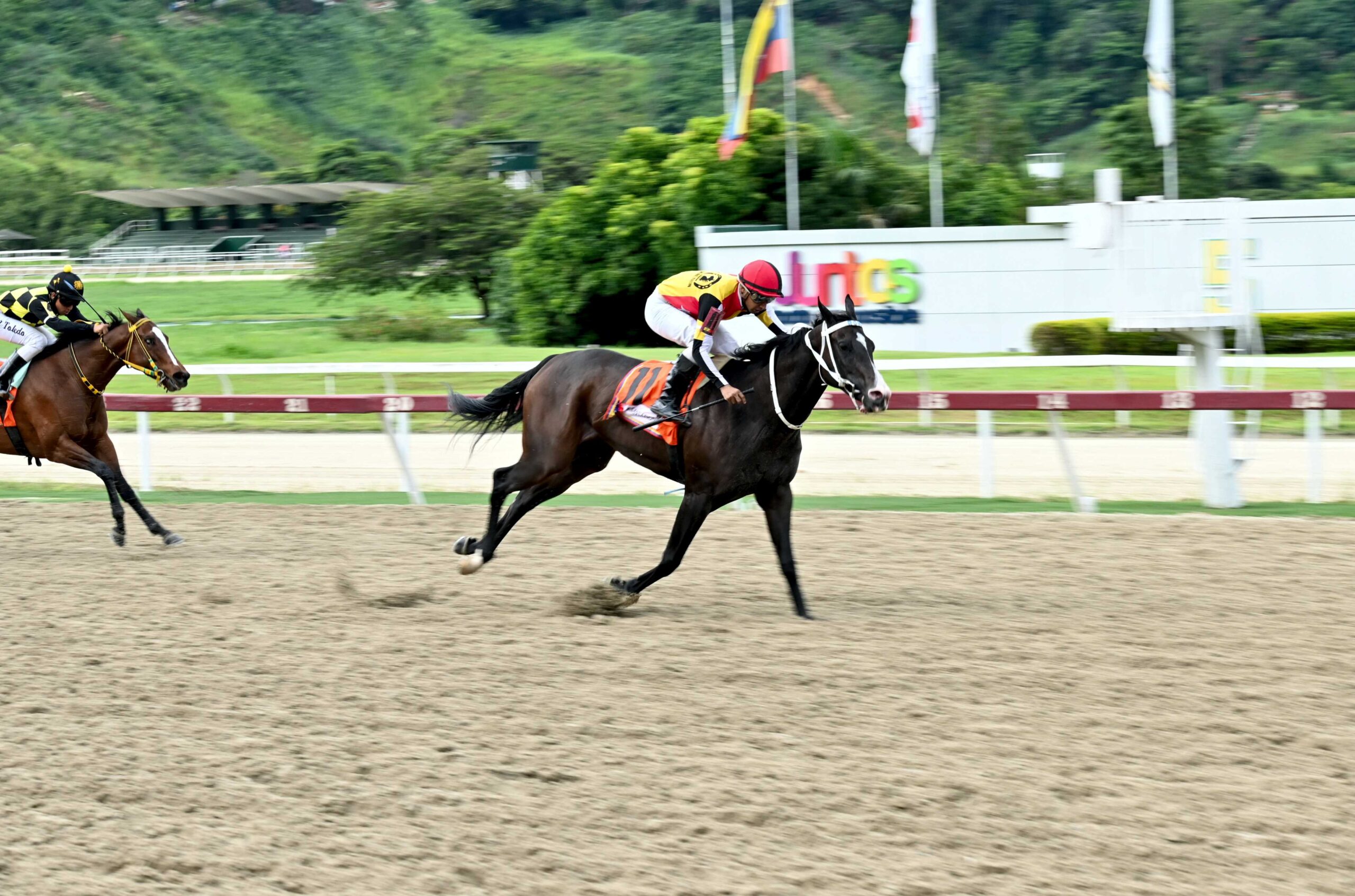 Fast Sensations, horse, Haras Los Caracaros, Sprinters, domingo, 25 de agosto de 202, La Rinconada. Foto: José Antonio Aray