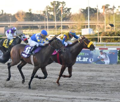 Giustino, horse, Haras La Providencia, Gran Premio Polla de Potrillos, sábado, 7 de septiembre de 2024, Hipódromo de Palermo. Foto: Prensa Palermo
