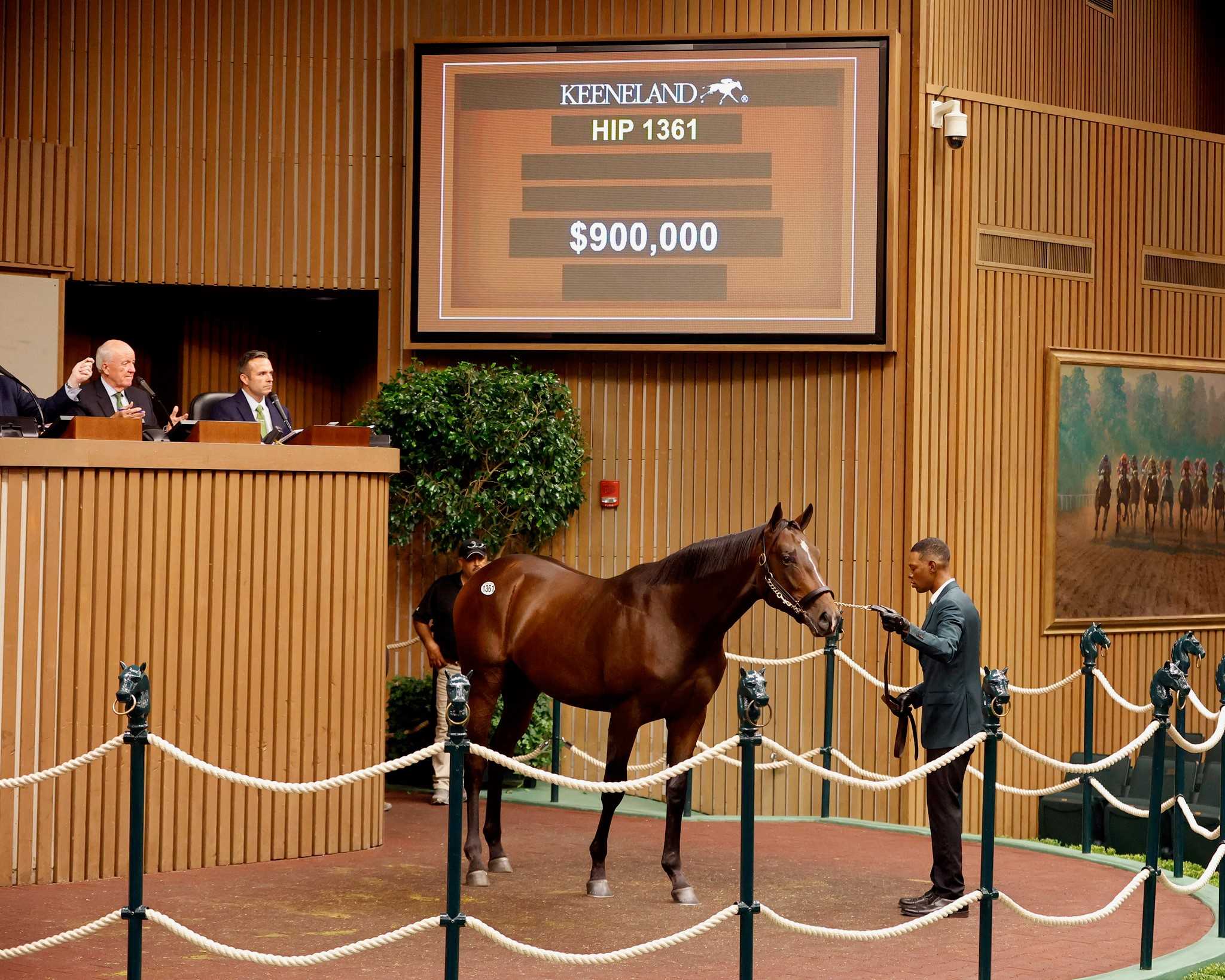 Potro, 1361, Practical Joke en Ridingwiththedevil por Candy Ride, sesión 5, Keeneland Sales, sábado, 14 de septiembre de 2024, Keeneland. Foto: Keeneland
