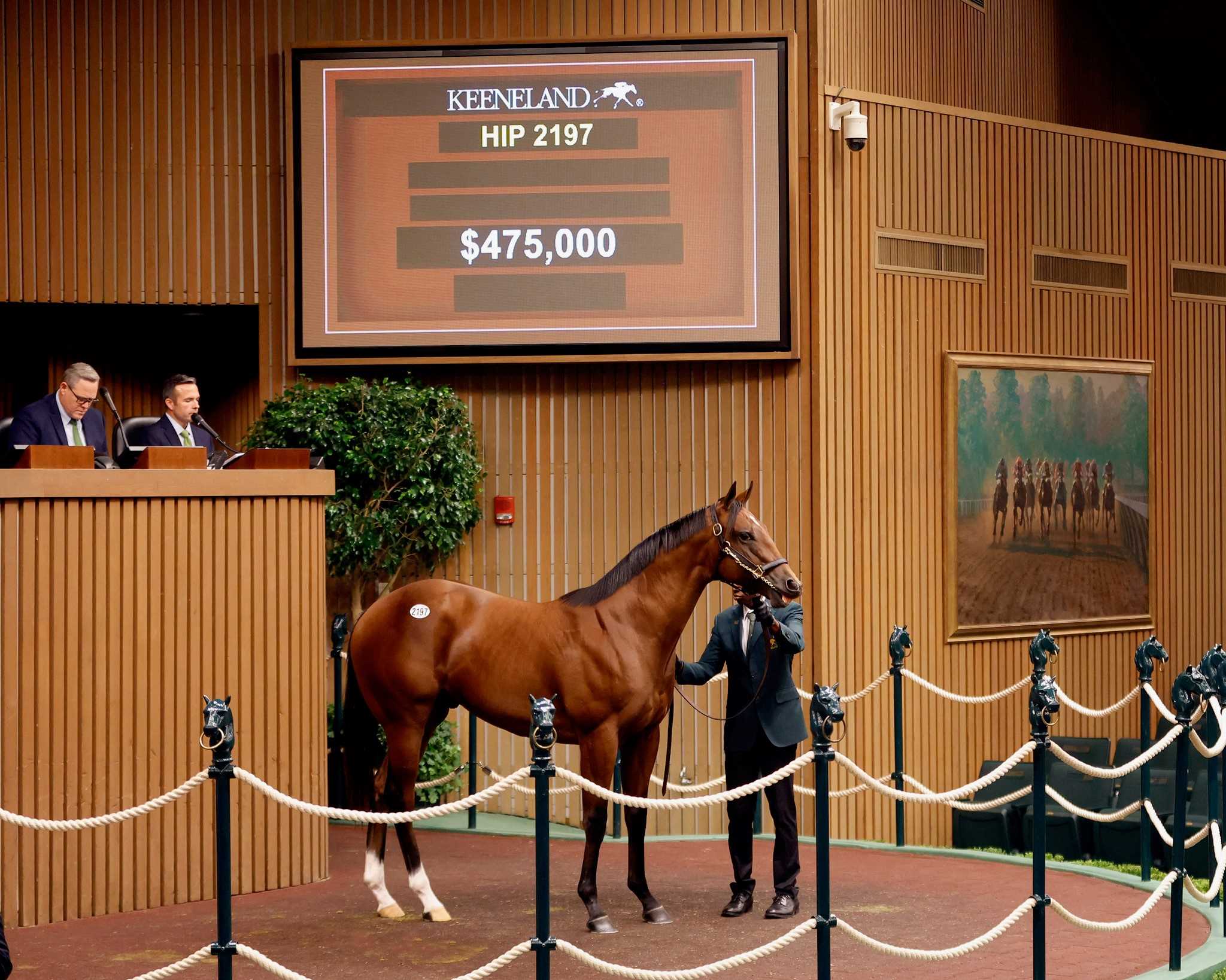 Potro, 2197, McKienzie en Ruby Trust por Smart Strike, sesión 7, Keeneland Sales, lunes, 16 de septiembre de 2024, Keeneland. Foto: Keeneland