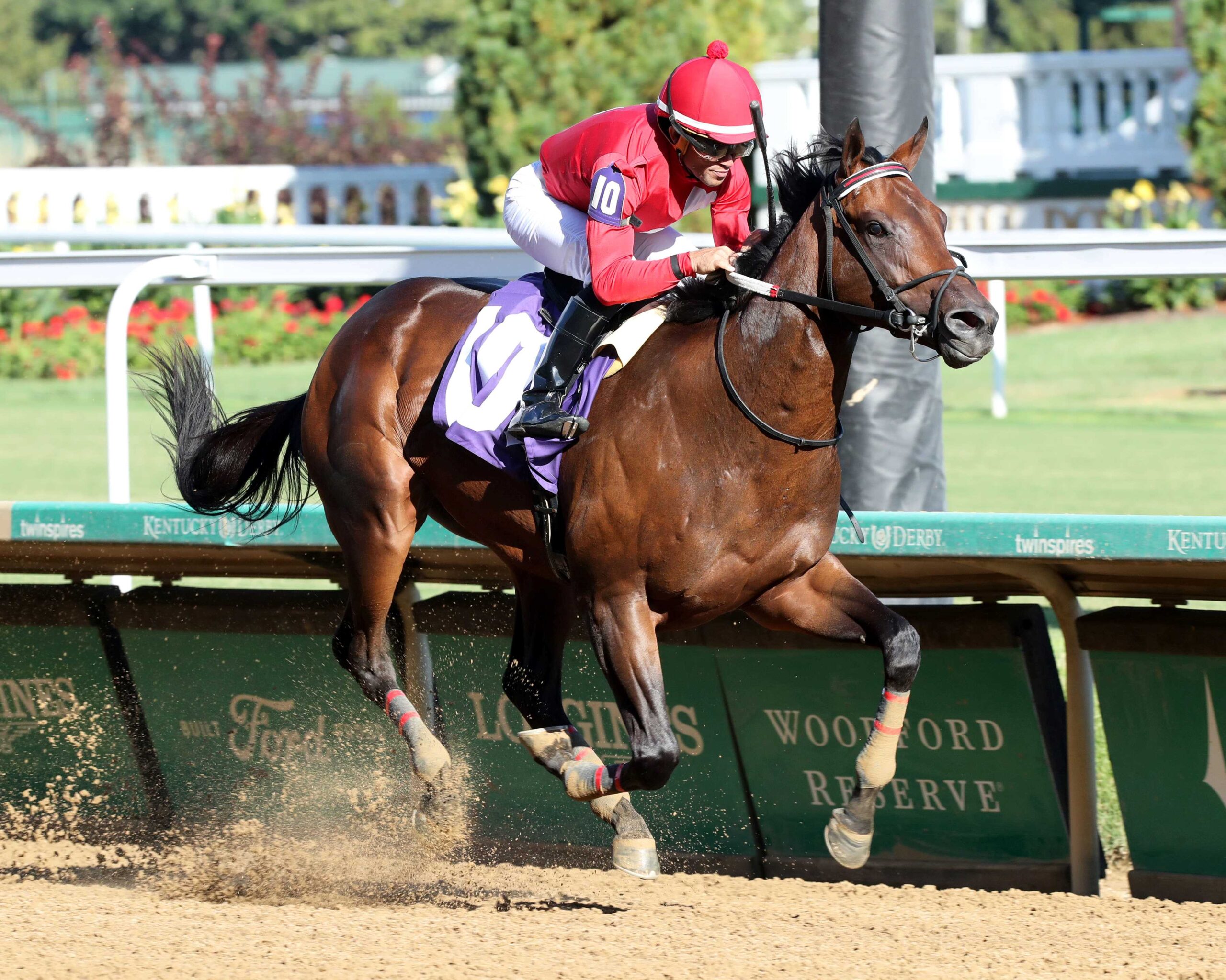 Jonathan´s Way, horse, Vekoma, Iroquois Stakes, sábado, 14 de septiembre de 2024, Churchill Downs. Foto: Coady Media