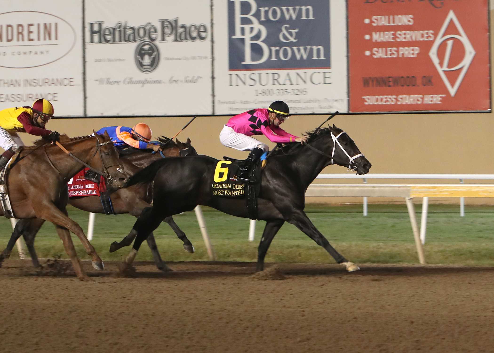 Most Wanted, horse, Gary & Mary West Stables, Oklahoma Derby, domingo, 29 de septiembre de 2024, Remington Park. Foto: Dustin Orona