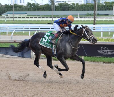 Soul Of An Angel, horse, Atreides, Princess Rooney Stakes, sábado, 21 de septiembre de 2024, Gulsftream Park. Foto: Coglianese Photo