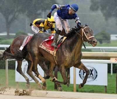 Brightwork, horse, Outwork, Prioress Stakes, sábado, 31 de agosto de 2024, Saratoga. Foto: Coglaniese Photo & Susie Raisher