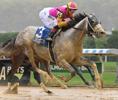 Tapit Trice, horse, Tapit, Woodward Stakes, sábdado, 28 de septiembre de 2024, Aqueduct. Foto: Coglaniese Photo