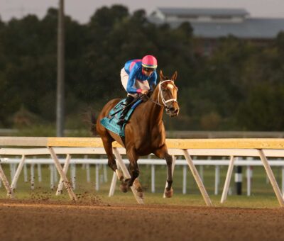 Alpine, horse, Madaket Stables LLC, Remington Park Oaks, domingo, 24 de septiembre de 2023, Remington Park. Foto Dustin Orona