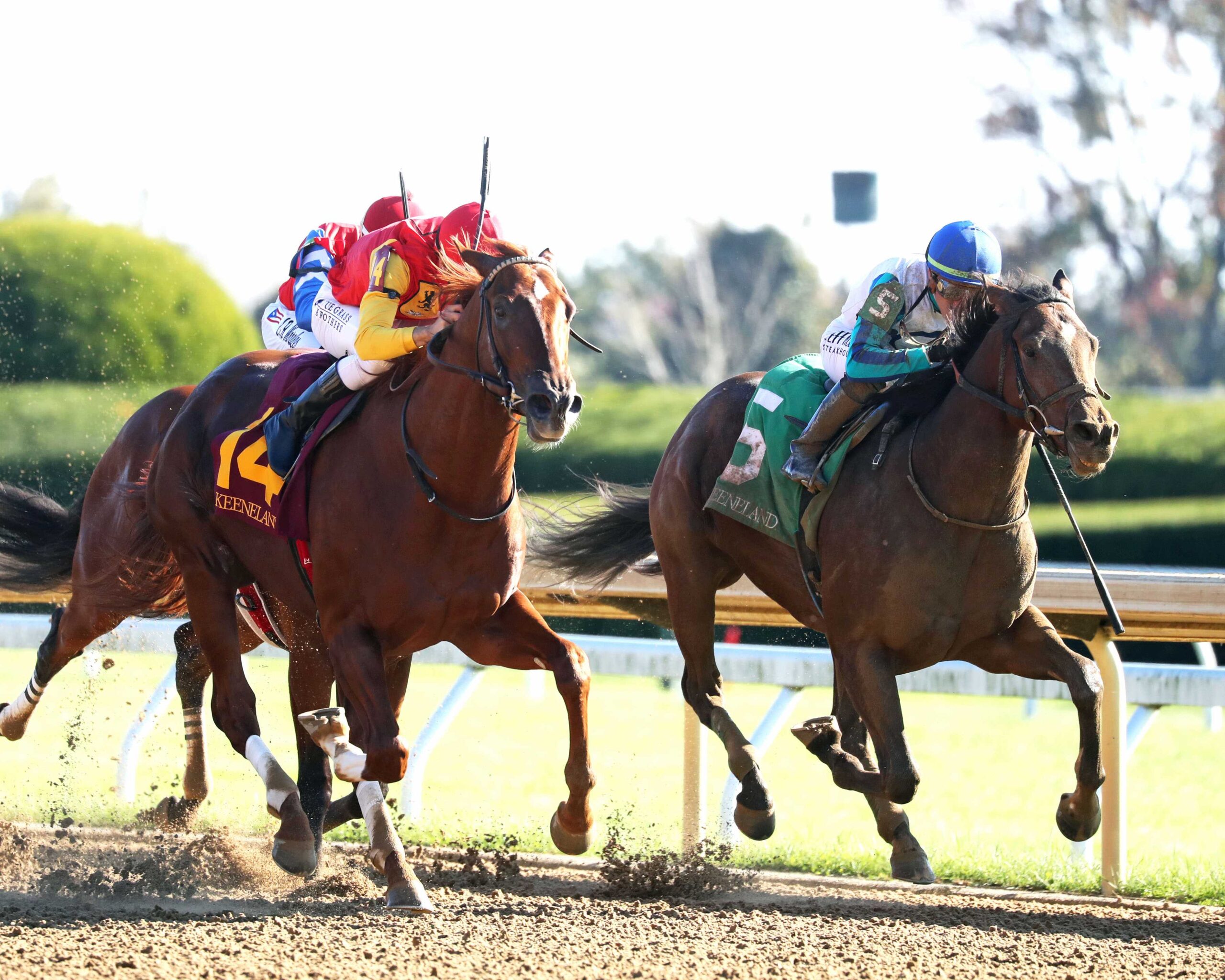 Brunacini, horse, Emilie Fojan, Perryville Stakes, sábado, 19 de octubre de 2024, Keeneland. Foto: Coady Media