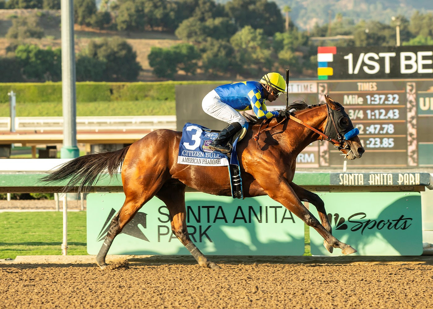 Citizen Bull, horse, Into Mischief, American Pharoah Stakes, sábado, 5 de octubre de 2024, Santa Anita Park. Foto: Benoit Photo