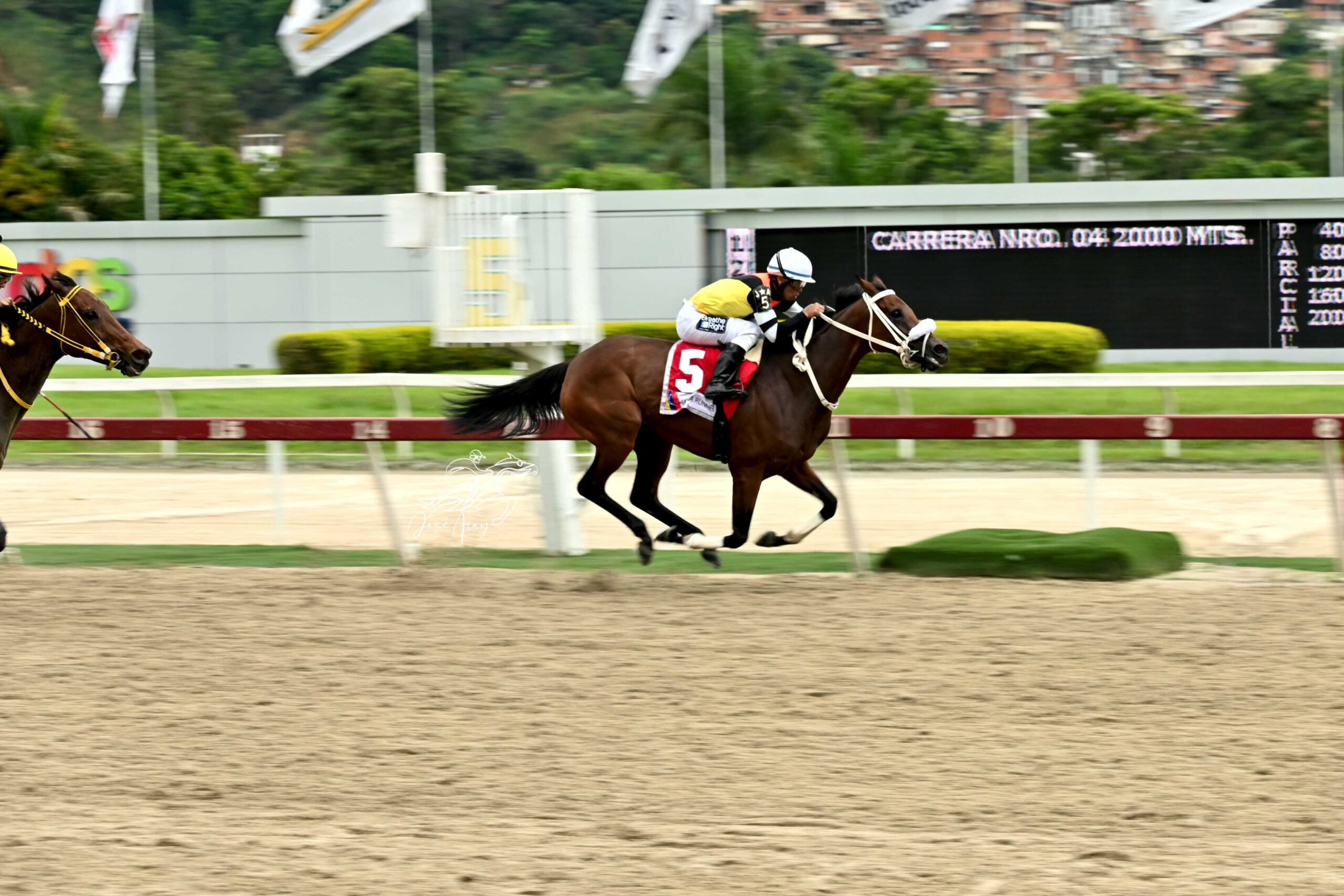 Daniela Runner, horse, Haras La Primavera, Clásico Hípica Nacional, domingo, 29 de septiembre de 2024, La Rinconada. Foto: José Antonio Aray