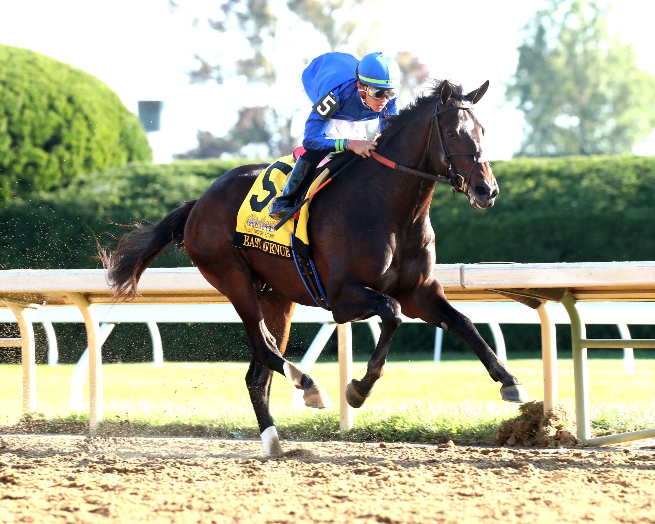 East Avenue, horses, Medaglia D´Oro, Breeders Futurity, sábado, 5 de octubre de 2024, Keeneland. Foto: Coady Media