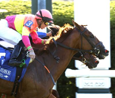 Highway Robber, horse, Foxpointe Thoroughbreds, Sycamore Stakes, viernes, 11 de octubre de 2024, Keeneland. Foto: Coady Media