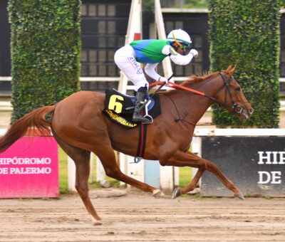 Inconmesurable, horse, Haras Marovi SA, Gran Premio Selección de Potrancas, sábado, 12 de octubre de 2024, Hipódromo de Palermo. Foto: Prensa Palermo