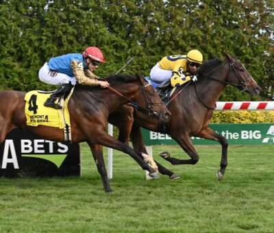 La Mehana, horse, Al Wukair, Waya Stakes, viernes, 4 de octubre de 2024, Belmont At The Big A. Foto: Coglaniese Photo