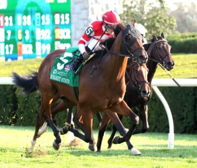 Minaret Station, horse, Oxo Equine, Castle Key Bourbon Stakes, domingo, 6 de octubre de 2024, Keeneland. Foto: Coady Media