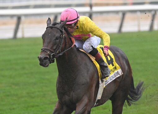 Zulu Kingdom, horse, Ten Sovereigns, Pilgrim Stakes, sábado, 28 de septiembre de 2024, Belmont At The Big A. Foto: Coglaniese Photo & Chelsea Durand