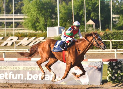Cuan Chef, horse, Haras Pozo De Luna, Clásico Gran Premio Nacional, sábado, 11 de noviembre de 2023, Hipódromo de Palermo. Foto: Violeta Bullrich