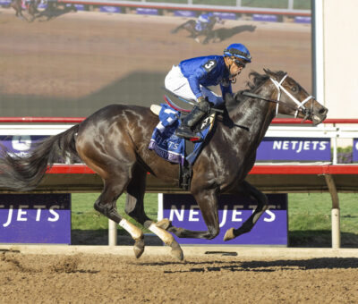 Immersive, horse, Godolphin, Breeders Cup Juveline Fillies, viernes, 1 de noviembre de 2024, Del Mar Racing. Foto: Benoit Photo