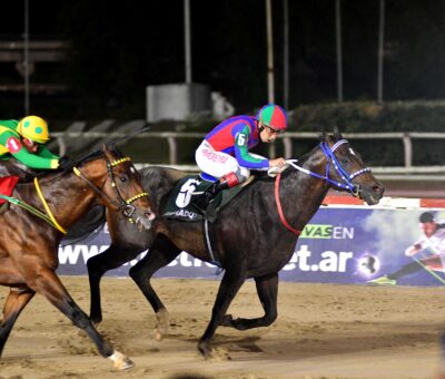 Labrado, horse, Le Blues, Clásico Gran Premio Maipú, sábado, 9 de noviembre de 2024, Hipódromo de Palermo. Foto: Violeta Bullrich
