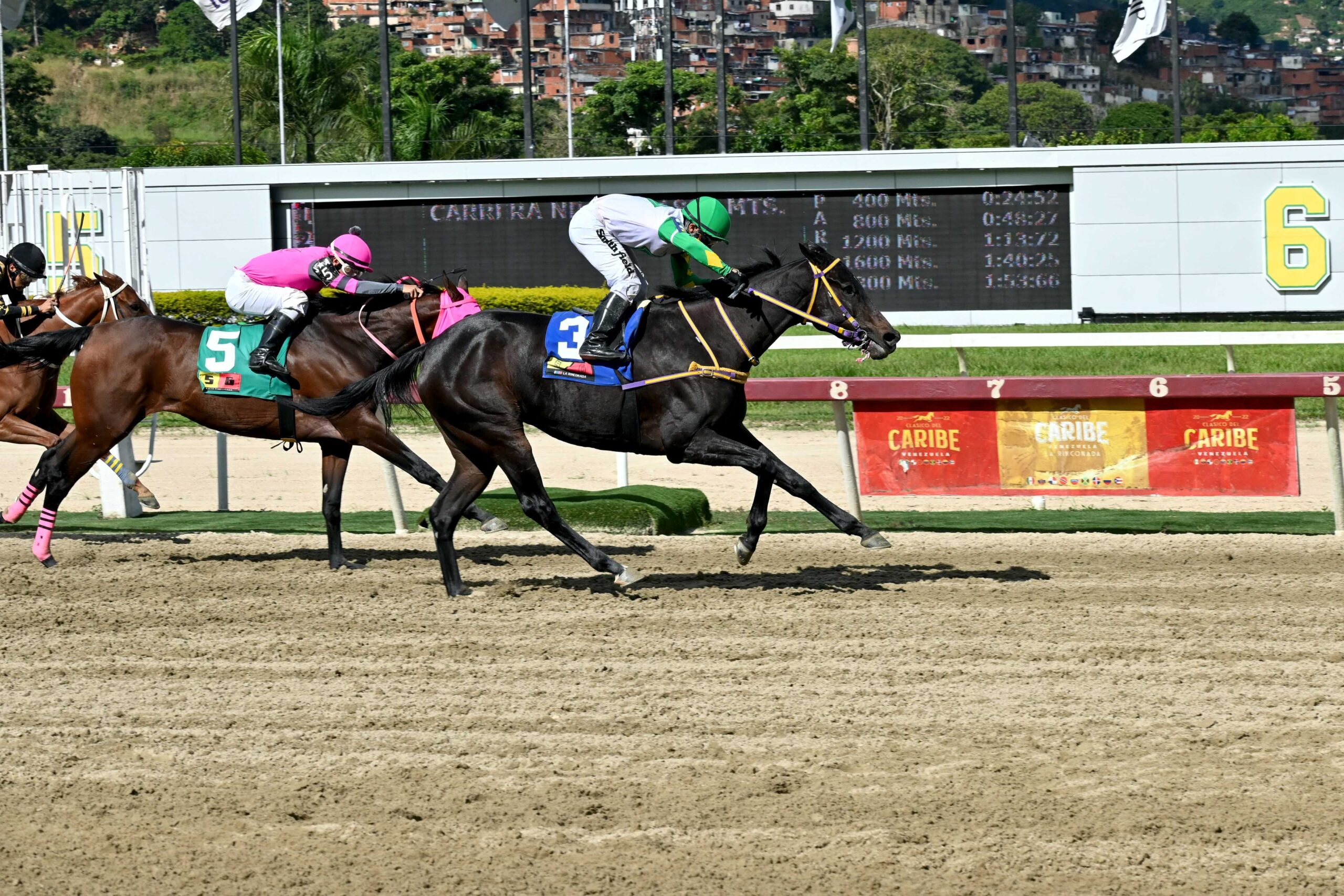 Lady Rossy, horse, Haras Paumar, Clásico Aviación Militar, domingo, 24 de noviembre de 2024, La Rinconada. Foto: José Antonio Aray