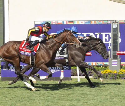 Rebel´s Romance, horse, Godolphin Farm, Breeders Cup Turf, sábado, 2 de noviembre de 2024, Del Mar. Foto: Benoit Photo / @benoitphoto_
