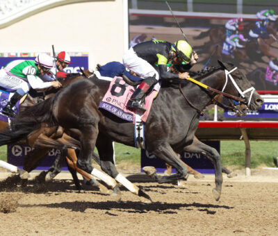 Soul Of An Angel, horse, Atreides, Breeders Cup Filly and Mare Sprint, sábado, 2 de noviembre de 2024, Del Mar. Foto: Benoit Photo / @benoitphoto_