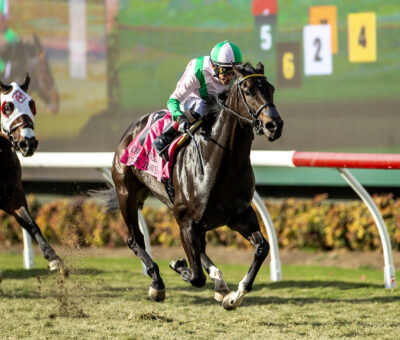 Clock Tower, horse, Not This Time, Cecil B. DeMille Stakes , domingo, 1 de diciembre de 2024, Del Mar. Foto: Benoit Photo