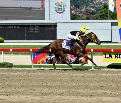 Compadre Peche, horse, Grand Adventure, Copa Velocidad del Caribe, Serie Hípica del Caribe, domingo, 8 de diciembre de 2024, La Rinconada. Foto: José Antonio Aray