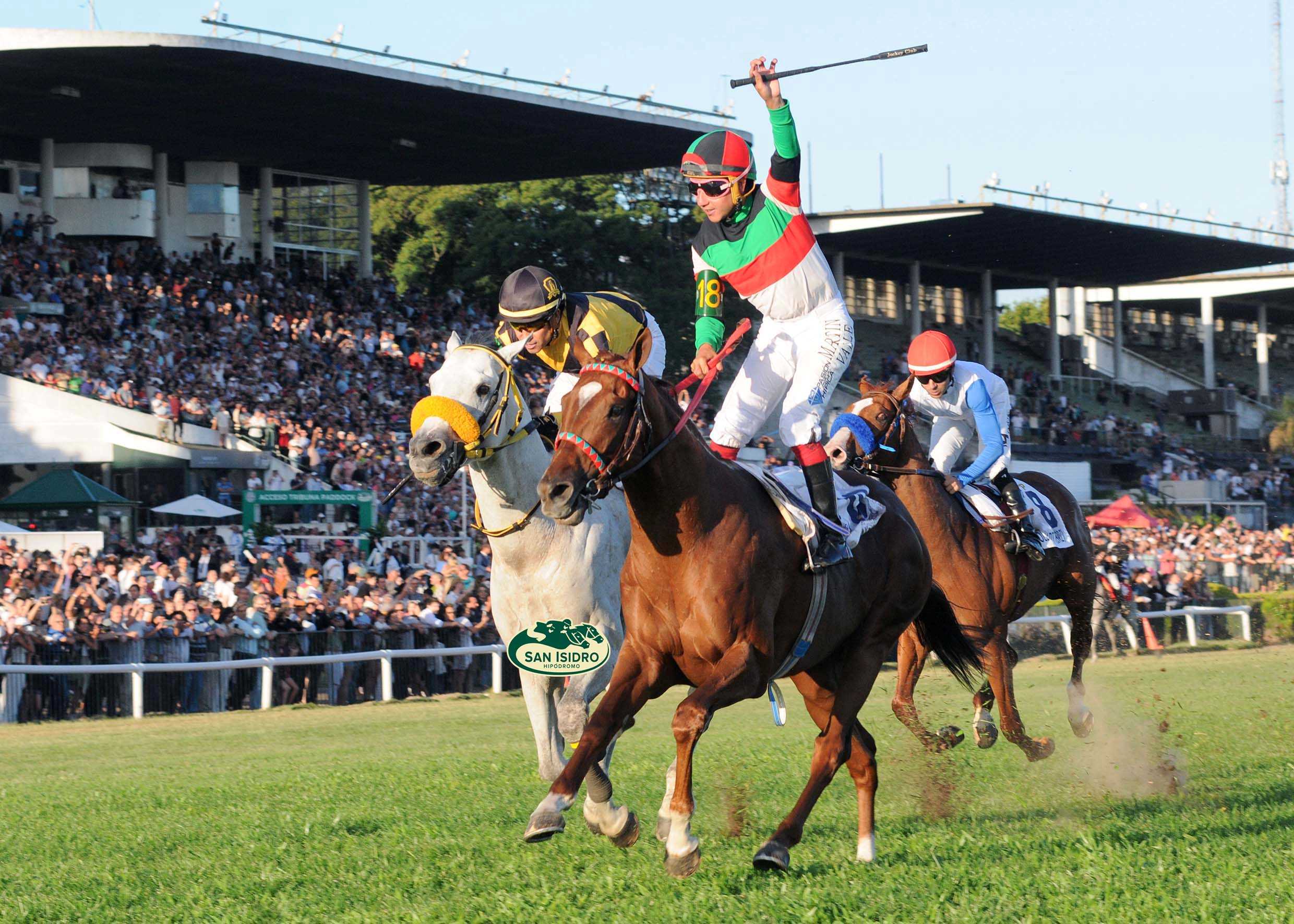 Intense For Me, horse, Haras Abolengo, Clásico Carlos Pellegrini, sábado, 14 de diciembre de 2024, Hipódromo de San Isidro. Foto: Prensa HSI