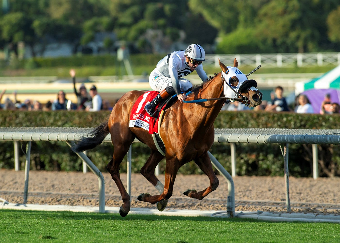 King Of Gosford, Horses, Zoustar, Mathis Mile Stakes, jueves, 26 de diciembre de 2024, Santa Anita Park. Foto: Benoit Photo