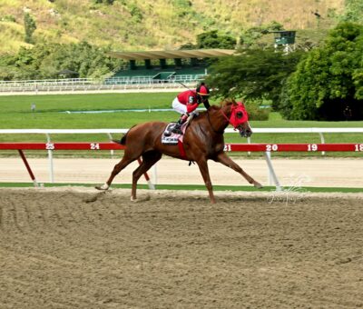 Piccina Mía, horse, Haras Urama, Copa Dama Del Caribe, Serie Hípica del Caribe, domingo, 8 de diciembre de 2024, La Rinconada. Foto: José Antonio Aray