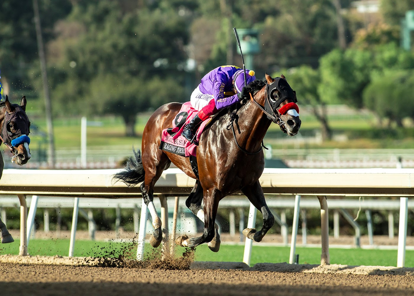 Raging Torrent, horse, Maximus Mischief, Malibú Stakes, jueves, 26 de diciembre de 2024, Santa Anita Park. Foto: Benoit Photo