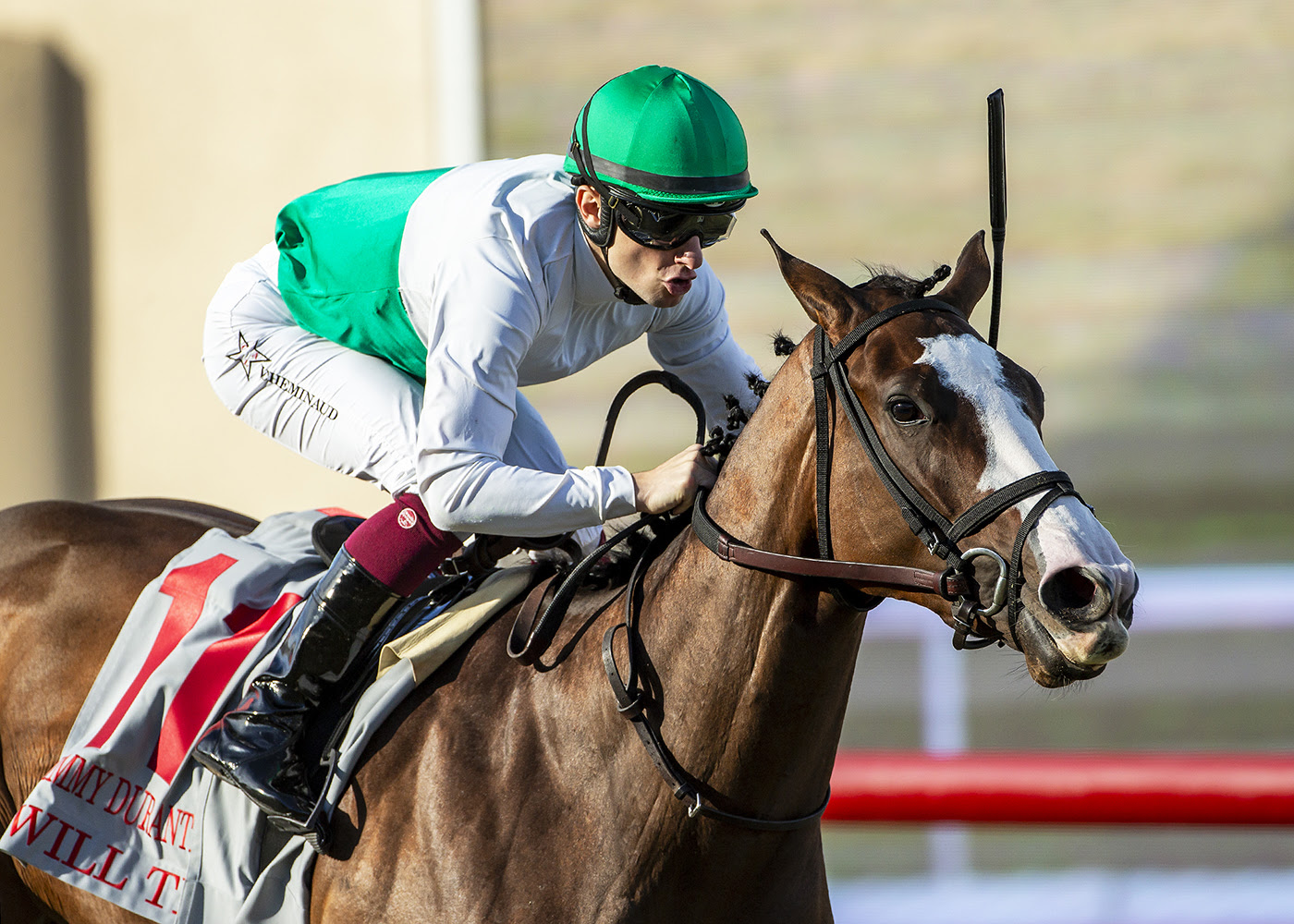 Will Then, Horses, War Of Will, Jimmy Durante Stakes, sábado, 30 de noviembre de 2024, Del Mar. Foto: Benoit Photo