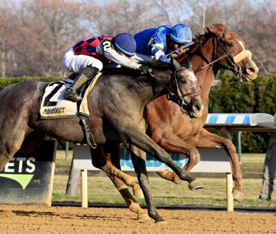 Poster, horse, Godolphin, Remsen Stakes, sábado, 7 de diciembre de 2024, Aqueduct. Foto: Coglaniese Photo