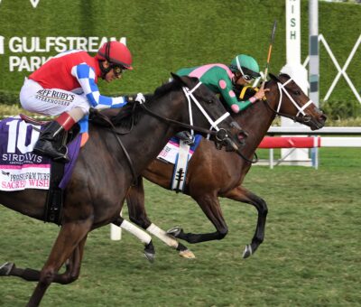 Be Your Best, Horses, Muhaarar, Pegasus World Cup Filly and Mare Turf Invitational, sábado, 25 de enero de 2025, Gulfstream Park. Foto: Coglaniese Photo
