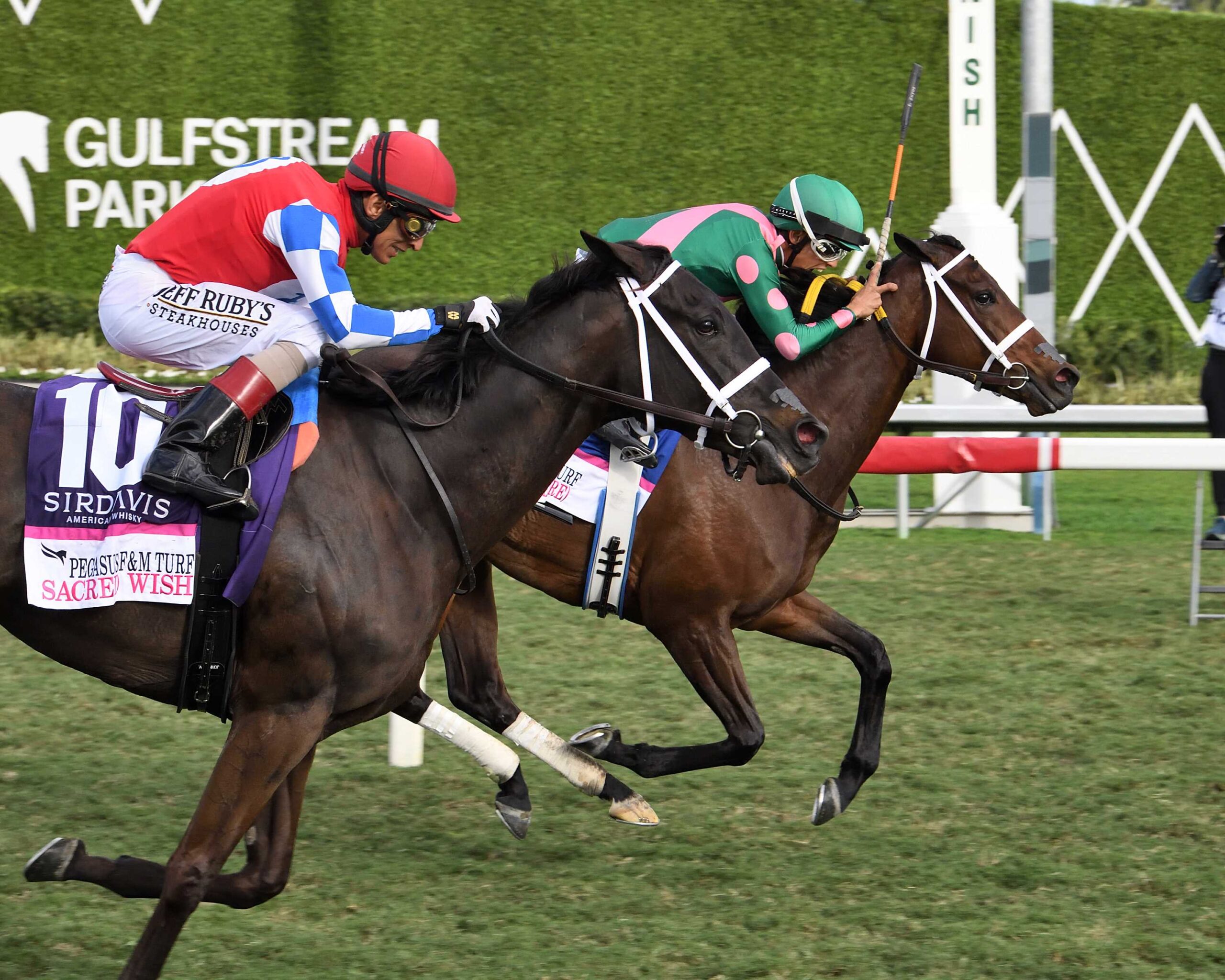 Be Your Best, Horses, Muhaarar, Pegasus World Cup Filly and Mare Turf Invitational, sábado, 25 de enero de 2025, Gulfstream Park. Foto: Coglaniese Photo