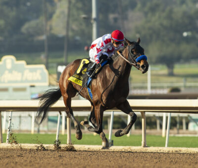 Cavalieri, horses, Nyquist, La Cañada Stakes, sábado, 4 de enero de 2025, Santa Anita Park. Foto: Benoit Photo