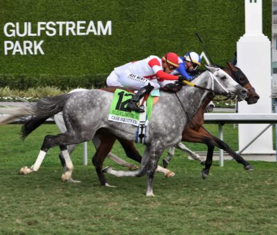 Dashman, horse, Oscar Performance, William L. McKnight Stakes, sábado, 25 de enero de 2025, Gulsftream Park. Foto: Coglianese Photo