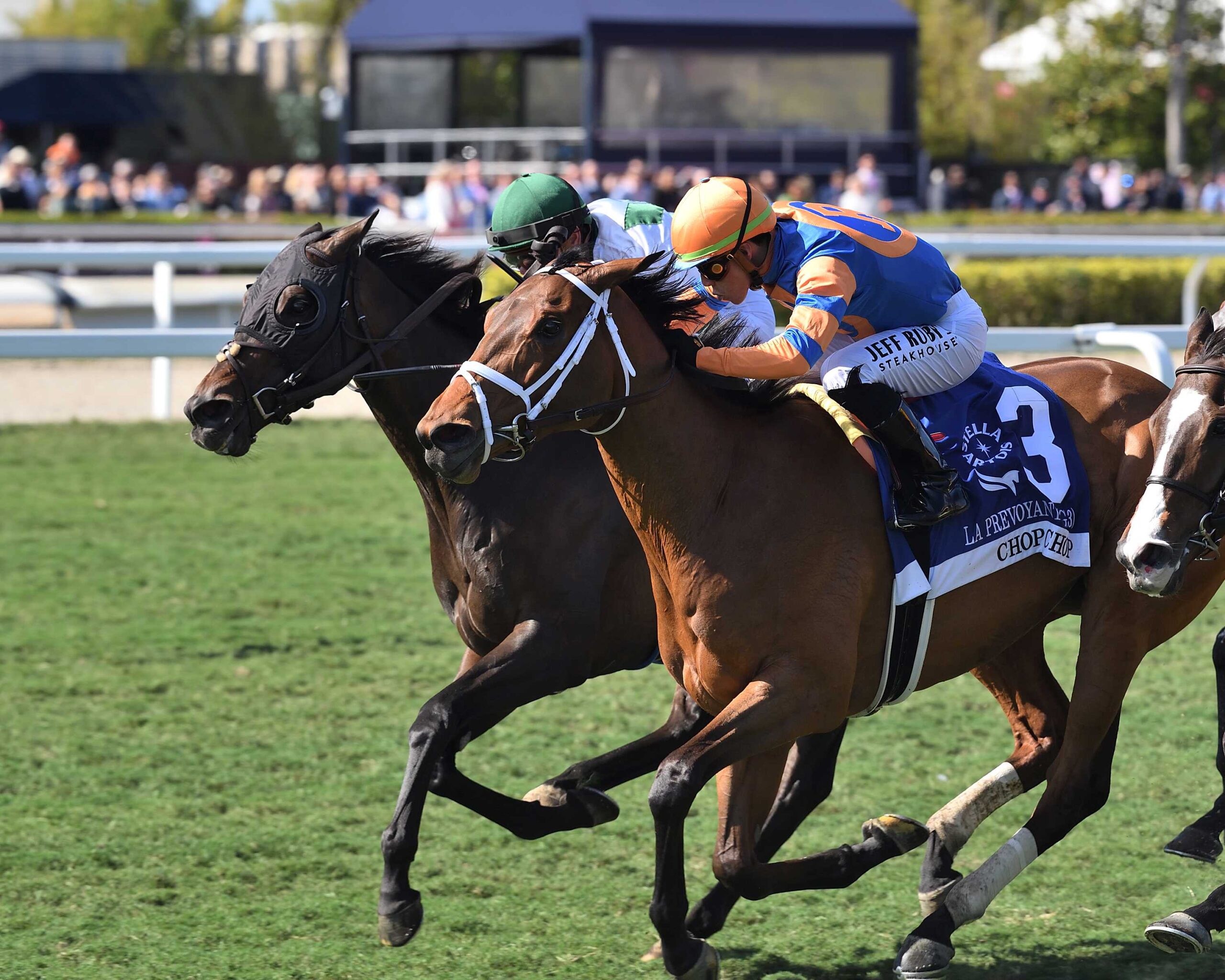 Forever After All, horse, Dixiana Farms LLC, Prevoyante Stakes, sábado, 25 de enero de 2025, Gulsftream Park. Foto: Coglianese Photo & Nicole Thomas
