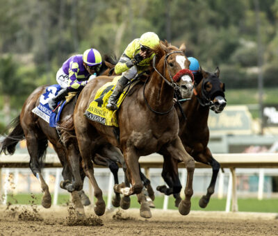 Katonah, Horses, Klimt, San Pascaul Stakes, sábado, 25 de enero de 2025, Santa Anita Park. Foto: Benoit Photo