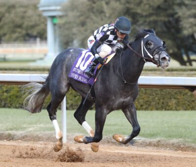 Speed King, horse, Volatile, Southwest Stakes, sábado, 25 de enero de 2025, Oaklawn Park. Foto: Coady Media