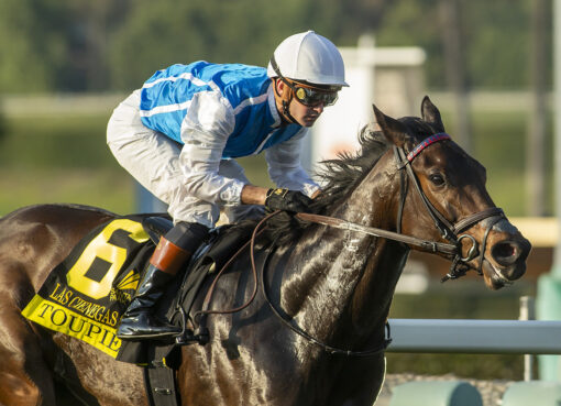 Toupie, horses, Uncle Mo, Las Cienegas Stakes, sábado, 19 de enero de 2025, Santa Anita Park. Foto: Benoit Photo