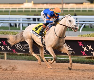 White Abarrio, horse, Spendthrift Farm, Pegasus World Cup, sábado, 25 de enero de 2025, Gulfstream Park. Foto: Coglaniese Photo
