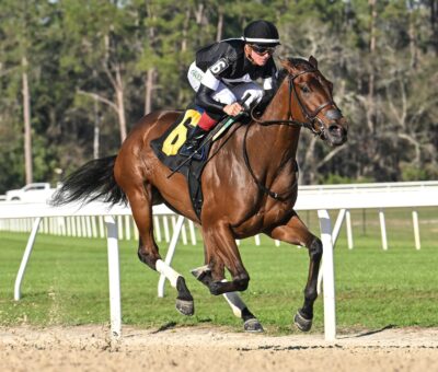 La Cara, horse, Tracy Farmer, Pelicans Stakes, sábado, 8 de febrero de 2025, Tampa Bay Downs. Foto: SV Photography
