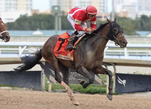 Burnham Square, horse, Whitham Thoroughbreds, Holy Bull Stakes, sábado, 1 de febrero de 2025, Gulfstream Park. Foto: Coglaniese Photo & Lauren King