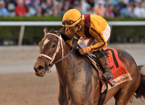 Eclatant, horse, Stonestreet Thoroughbred Holdings, Forward Gal Stakes, sábado, 1 de febrero de 2025, Gulsftream Park. Foto: Coglianese Photo